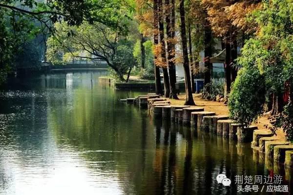 应来之城全景图片,中国湖北应城