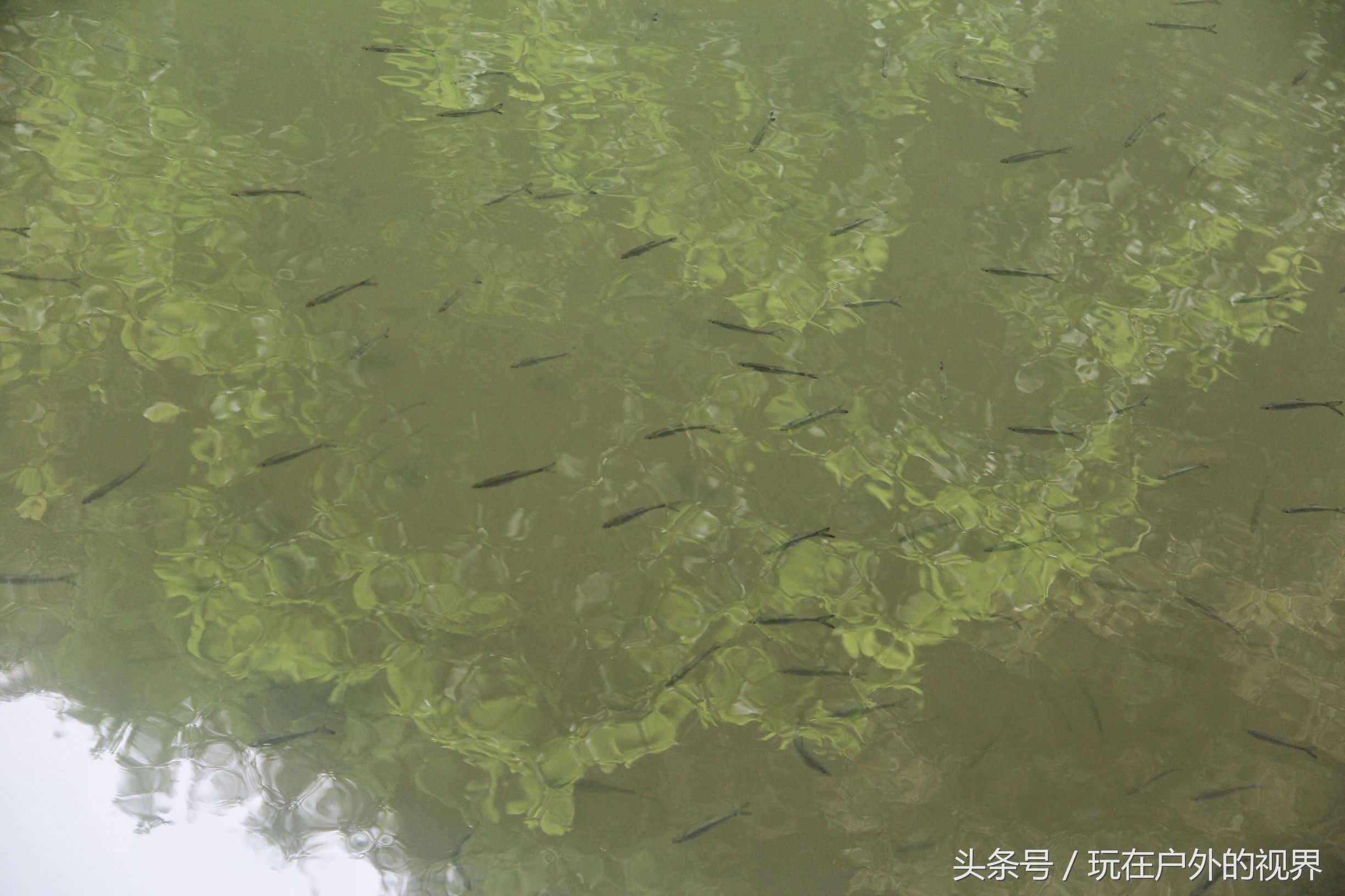 德庆县盘龙峡景区相关图片,德庆县盘龙峡风景区最新视频