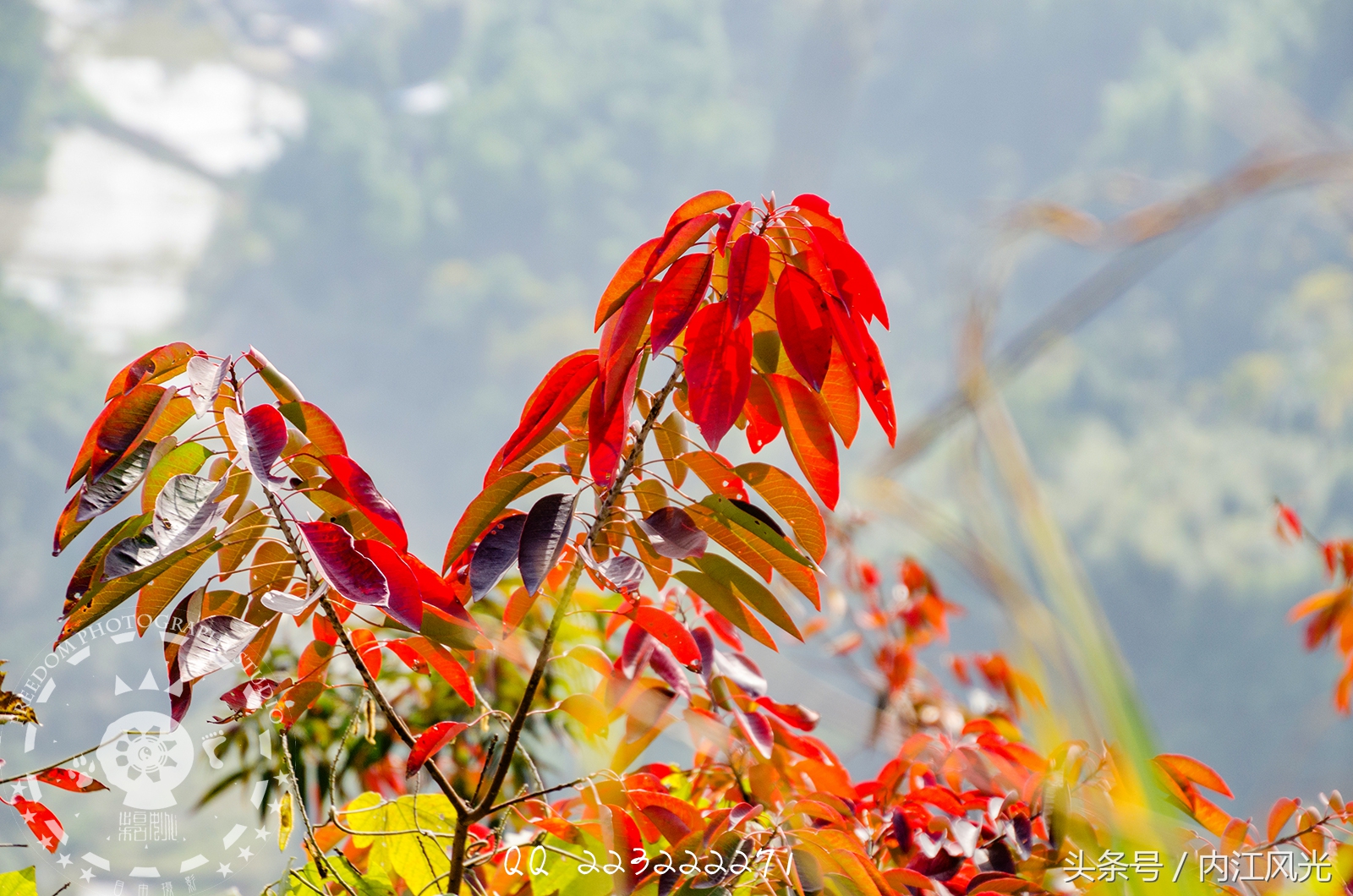 攀越震撼的内江威远高顶寨