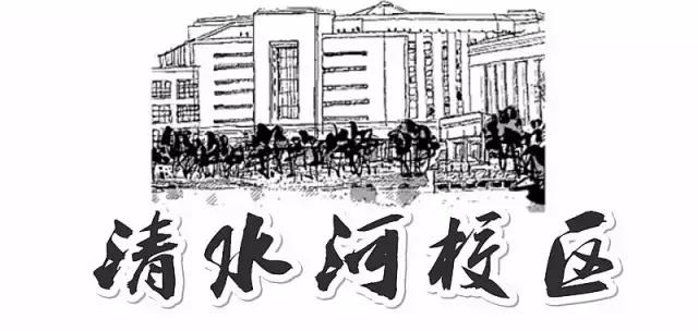 全国十大最美银杏大学,全国最美银杏大学