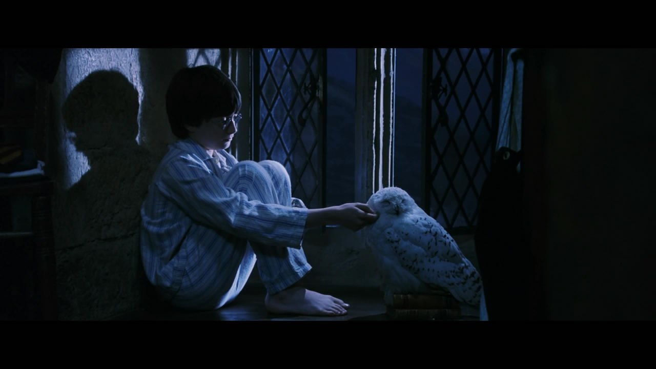 你还记得那颗干鼻屎味道的多味豆吗