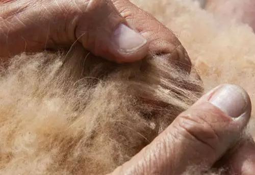 一线品牌奢侈品有哪些,一线奢侈品品牌排名