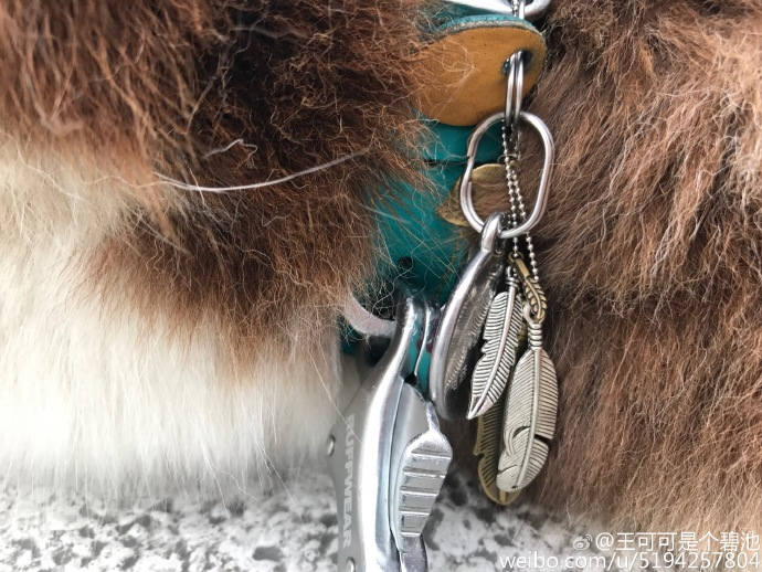 王思聪敢给王可可买这条狗链，看来是决定挑衅整个娱乐圈了