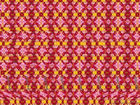 超神奇的3d动态图,omg效果图