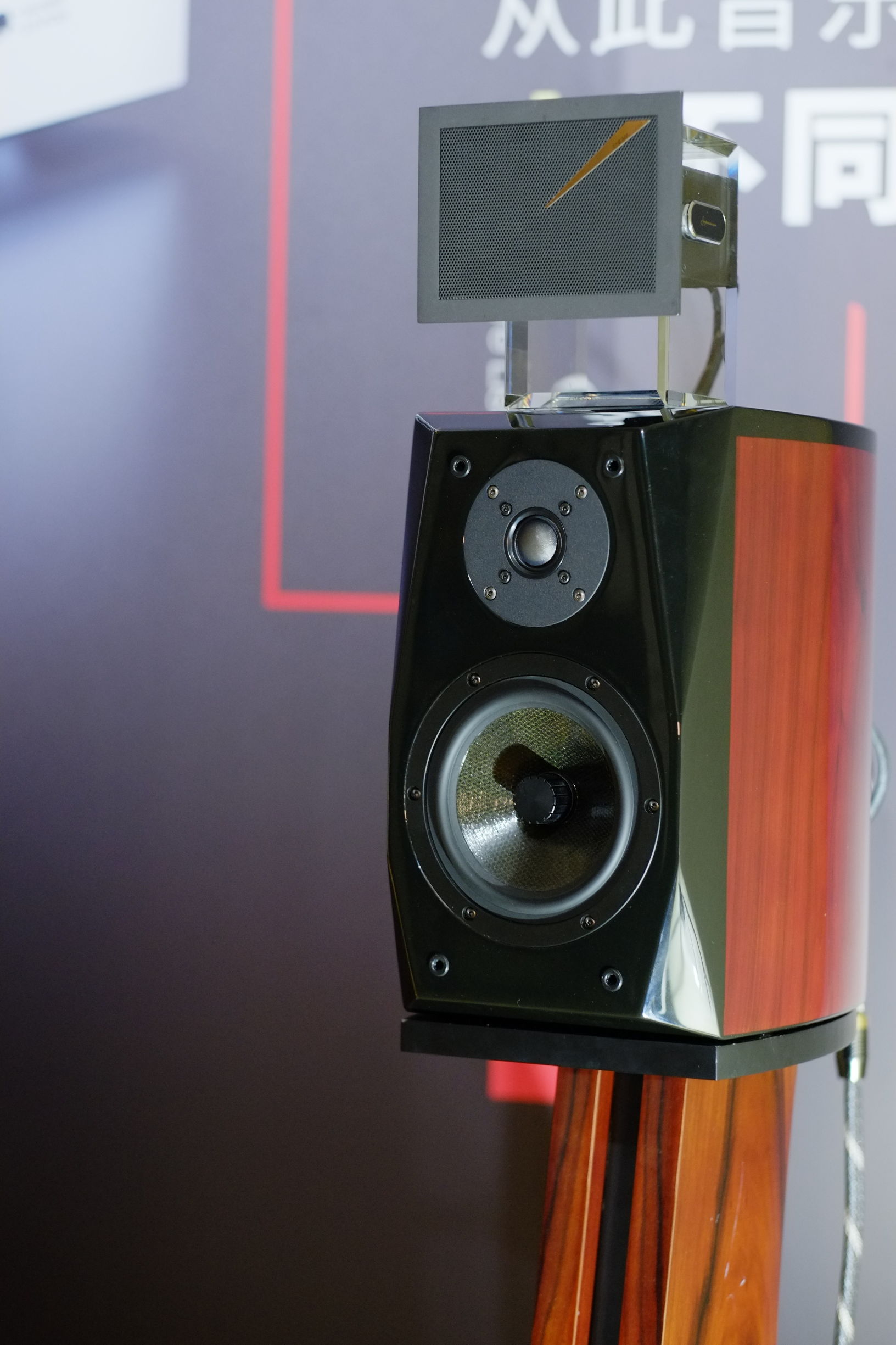 世界顶级音响博览会,世界顶级汽车音响展