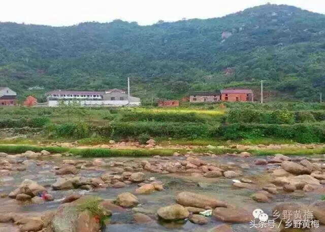 难忘大青山,难忘中学