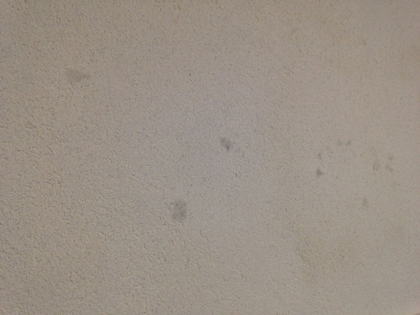 墙纸好还是硅藻泥好,硅藻泥好还是墙纸好