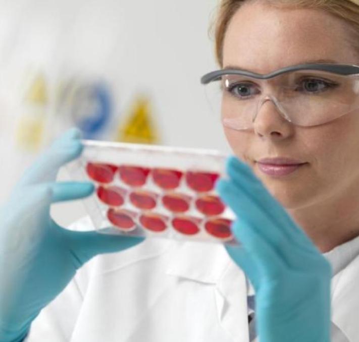 干细胞疗法癌症,生物干细胞真的能治癌症吗