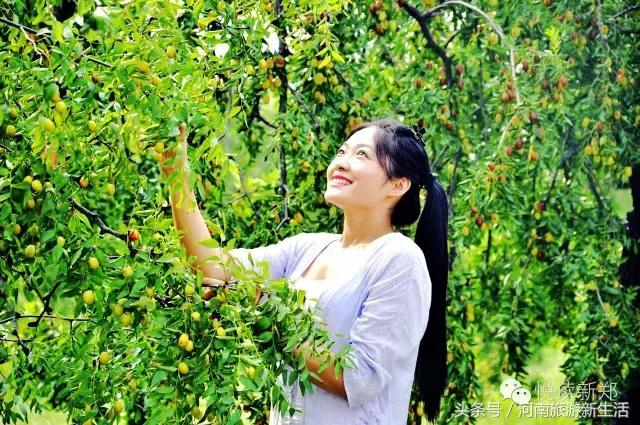 巩义吵架的视频,巩义吵架