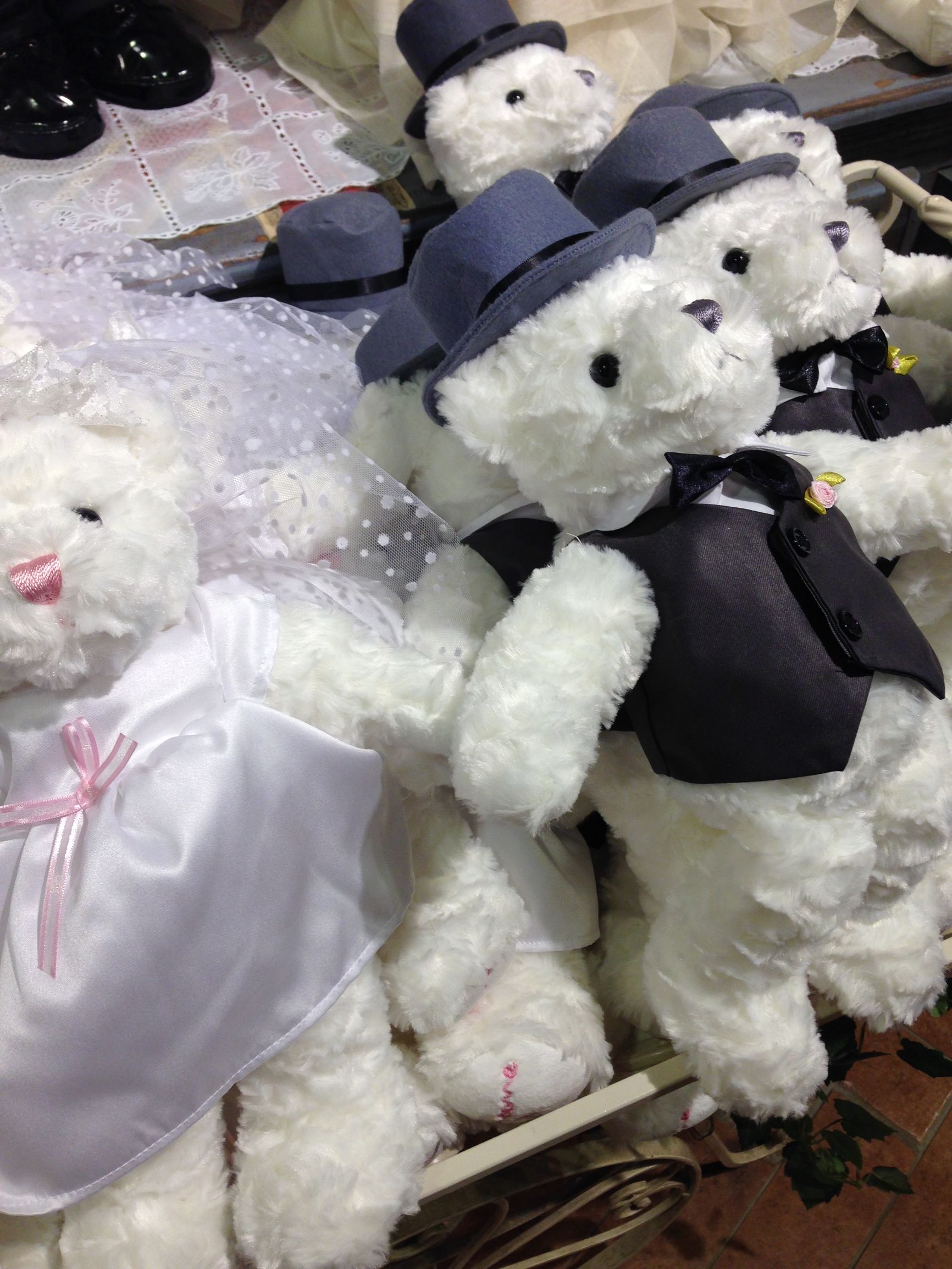 济州岛泰迪熊韩服,济州岛泰迪熊动物世界