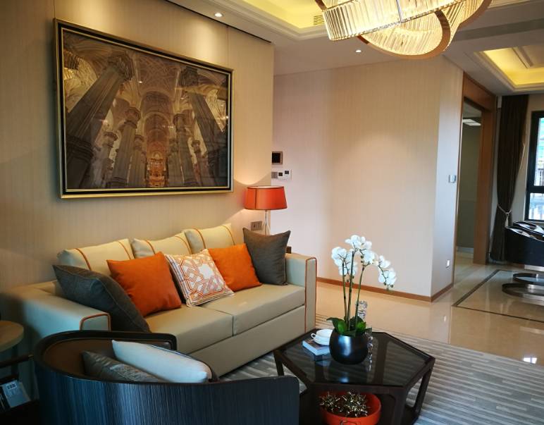 低调的奢华+处女座细节小编实探南站TOP级豪宅