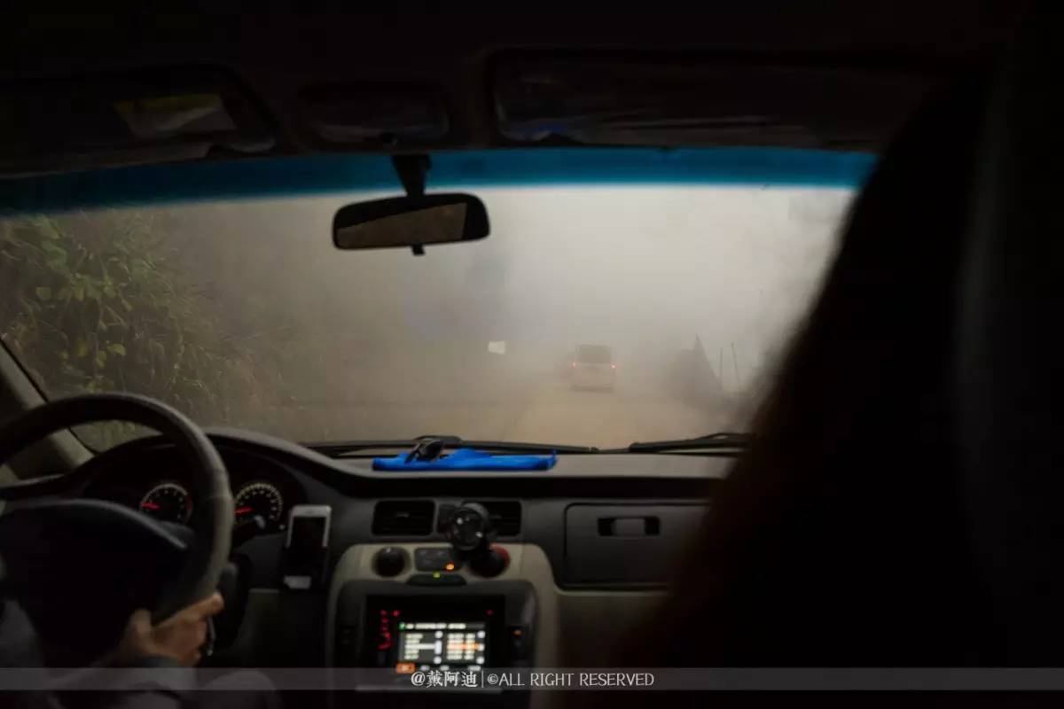 今年最后银杏金秋，现在出发还来得及！