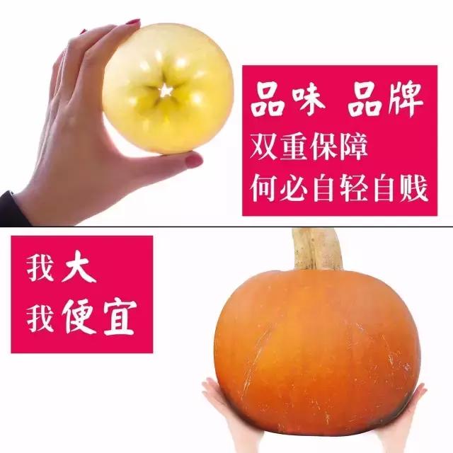 明天别睡懒觉和乌鲁木齐晚报君一起逛且逛且冬博会去