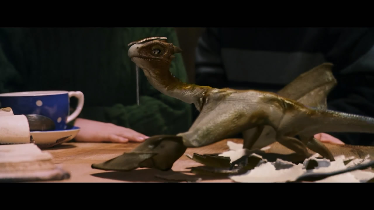 你还记得那颗干鼻屎味道的多味豆吗