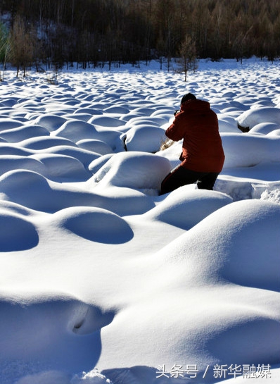 零下40度到底冷吗,零下40度有多冷人不会冻住吗