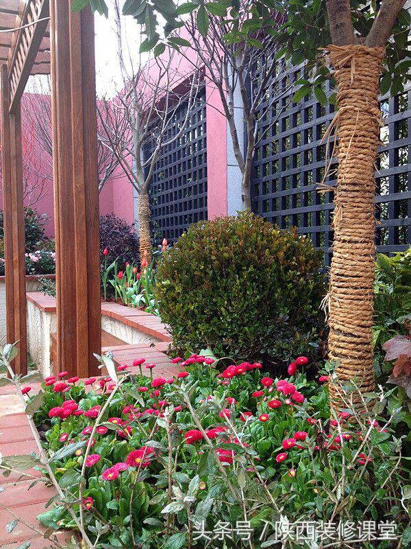 280平花园法式,我家花园的氛围感