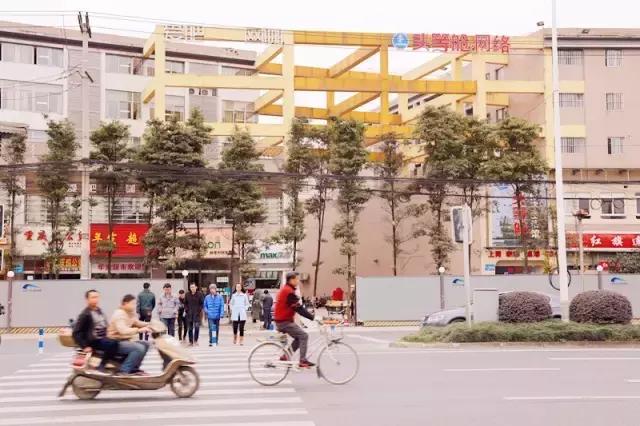 全国十大最美银杏大学,全国最美银杏大学