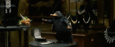 读了麻瓜麻鸡魔法入门，《神奇动物》会好看100倍