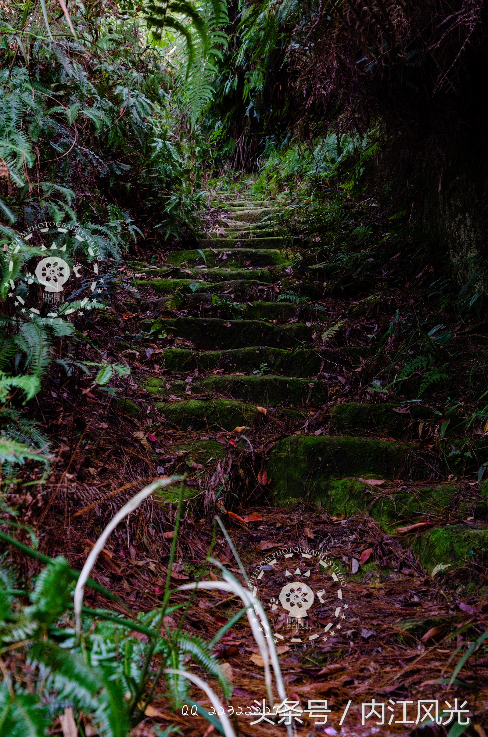 攀越震撼的内江威远高顶寨