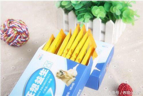 柯基拉黑屎拉稀是咋回事,柯基拉黑稀便怎么回事