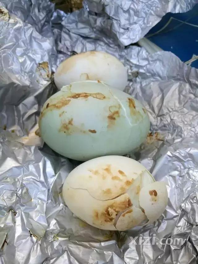 入冬了，原来惠阳的吃货们是这么玩的，看完后越寒冷越心动！