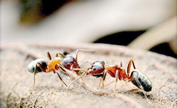 超级冷知识你绝对不知道,你绝对不知道的几个冷知识
