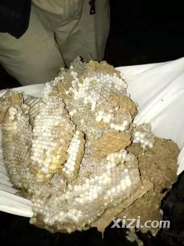 入冬了，原来惠阳的吃货们是这么玩的，看完后越寒冷越心动！