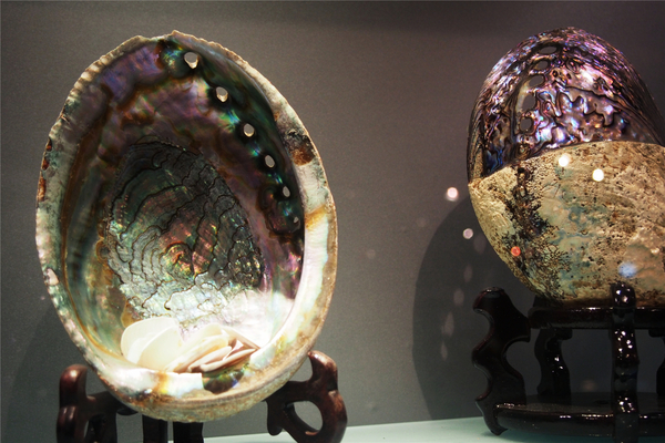 在第二个夏日赴一场海鲜的约会