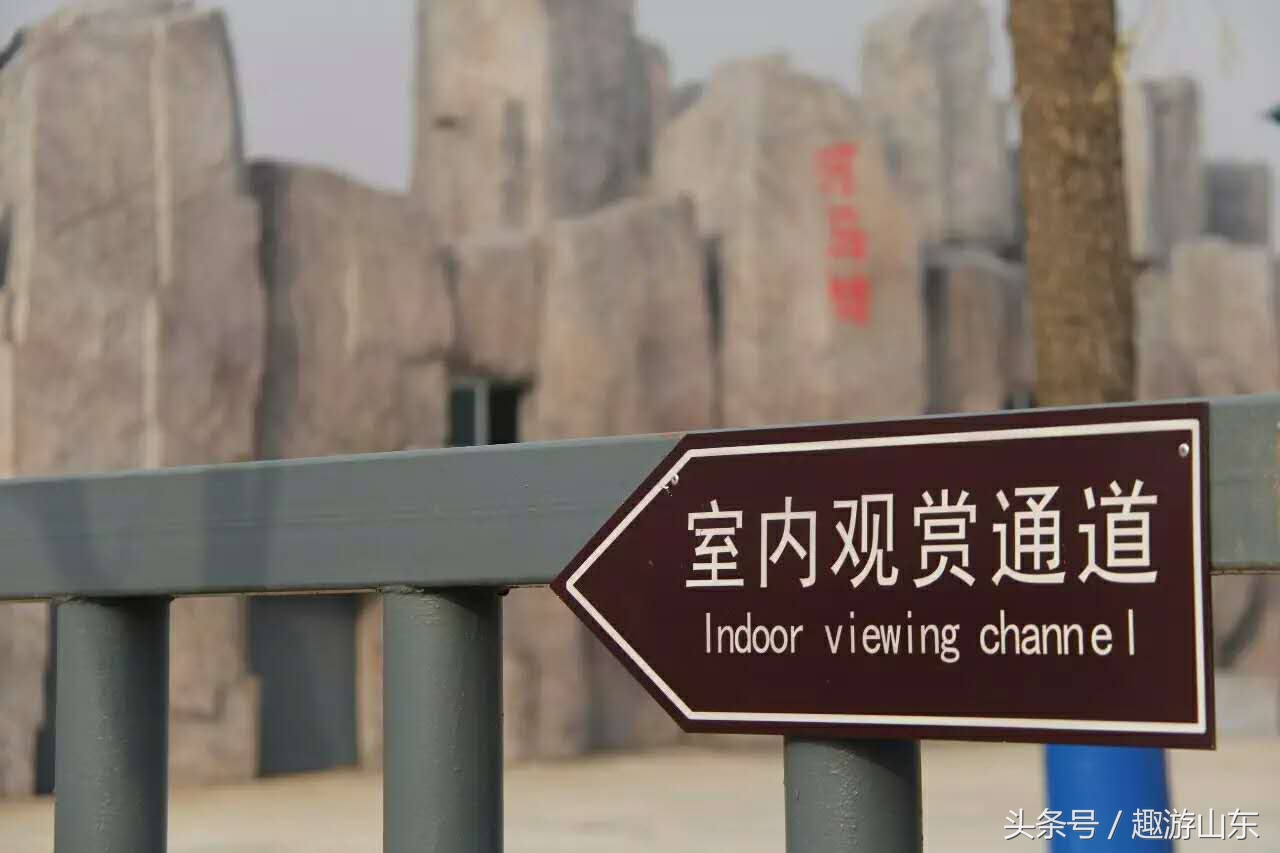 德州生态动物园,德州动物园布局