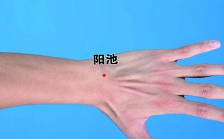 手脚冰凉按哪个穴位阳气虚,治冬天手脚冰凉的穴位图