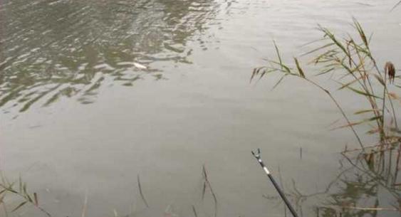 钓鱼人太牛！大风大雨中垂钓也能迎来鲤鲫大丰收