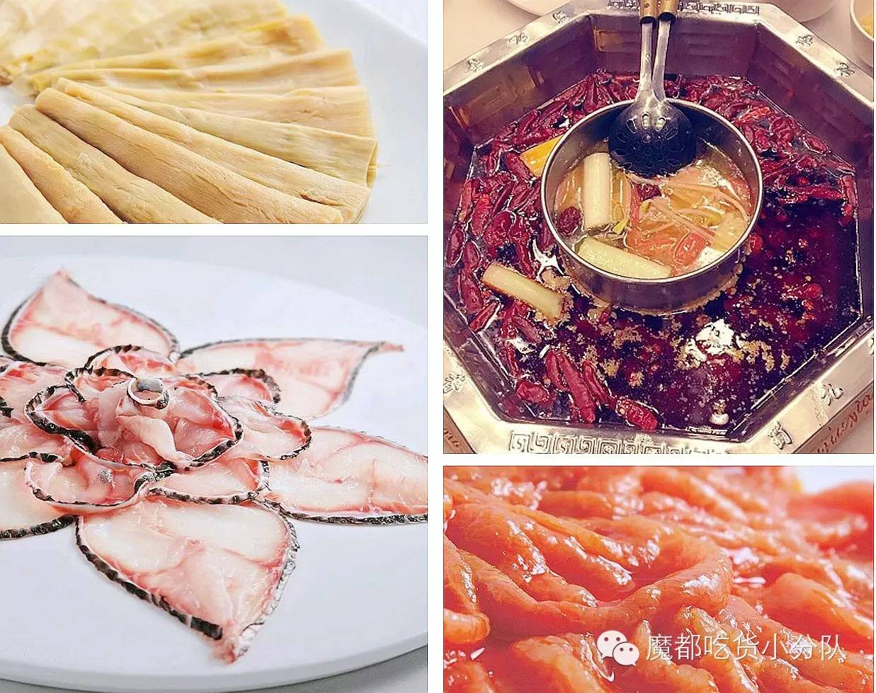 榄旈兘鐢熷瓨鎵嬪唽,榄旈兘鐢熷瓨鎸囧崡