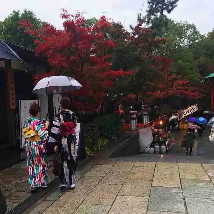 日本自由行京都红叶之旅,日本名古屋红叶风景