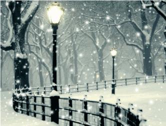 诗词鉴赏一枝春,诗词鉴赏一夜东风绽早梅