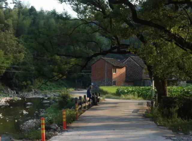 福鼎风景好的村庄,福鼎乡村旅游景点推荐
