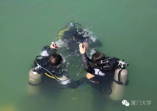 特色课程游泳课内容,隐藏的体育课