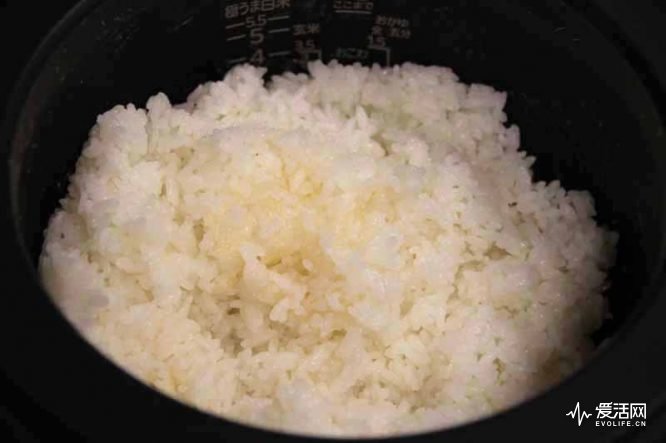 日本电饭煲测评排行,电饭煲哪个牌子的煮饭最好