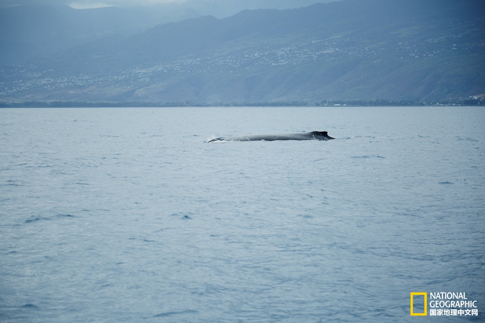 侠骨柔情展现的淋漓尽致,侠骨柔情温柔似水