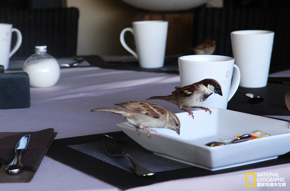 侠骨柔情展现的淋漓尽致,侠骨柔情温柔似水