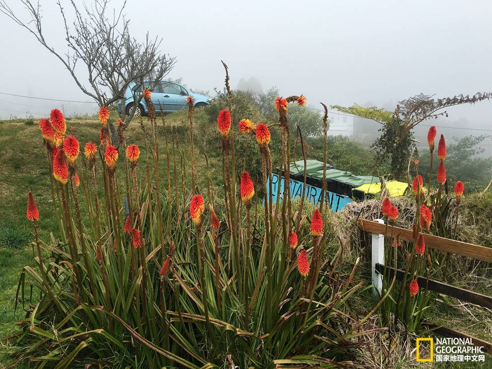 侠骨柔情展现的淋漓尽致,侠骨柔情温柔似水