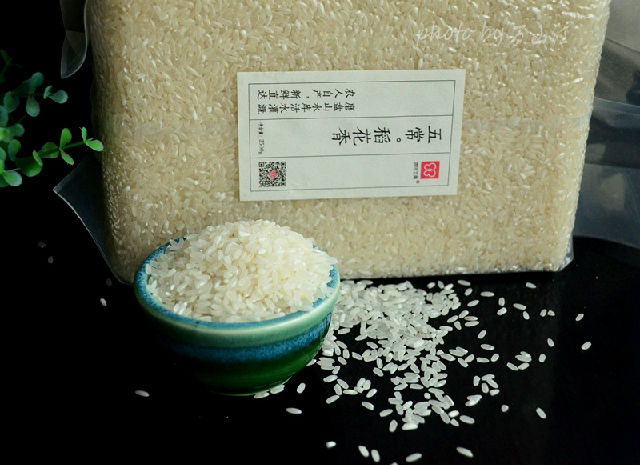 五常稻花香体验报告