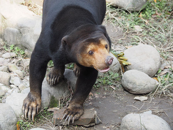 奥林巴斯e-pl8可以自拍吗,奥林巴斯epl8拍的照片