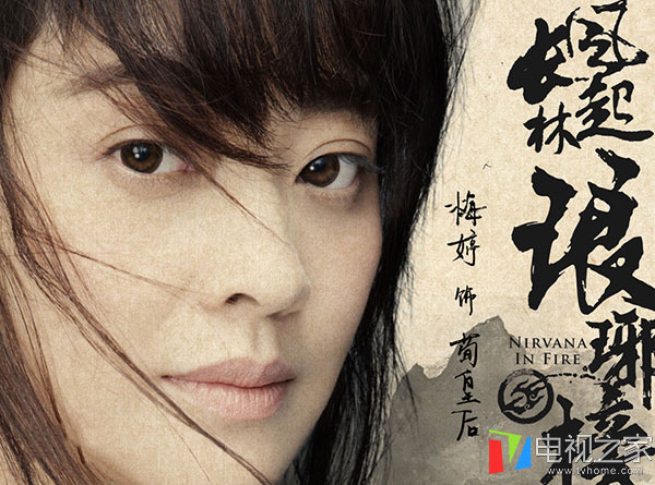 琅琊榜之风起长林定档,琅琊榜之风起长林剧集简介