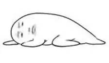 90后假冒女子7天骗11万,浙江嘉兴女子被骗2000万真假