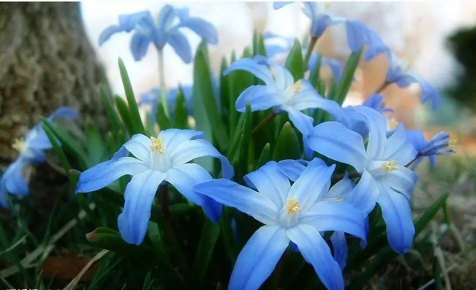 古文小品名篇,古文探奇