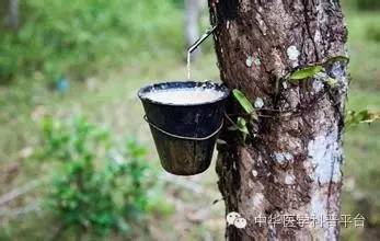 痒痒难受且看小手套大学问