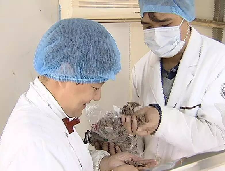 最靠谱的感冒药,最靠谱便宜的感冒药