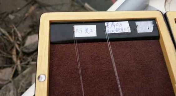 钓鱼人太牛！大风大雨中垂钓也能迎来鲤鲫大丰收