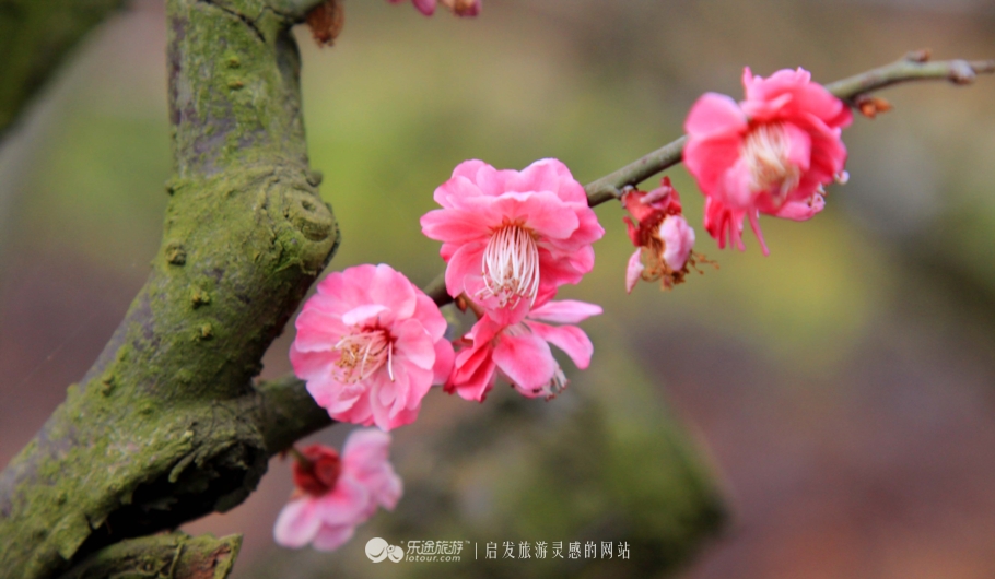 带上阳光开头结尾,阳光情人谷