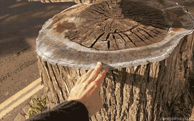 还一个球队都有这么一个球迷就赢了